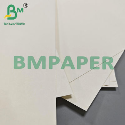 Papel de taza de té caliente biodegradable de 210 gm 230 gm Materia prima