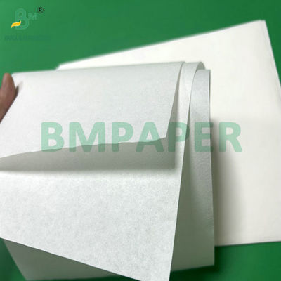 Papel de filtros de café de pulpa de bambú de 50 gramos con rollo de jumbol ancho 308 mm color blanco