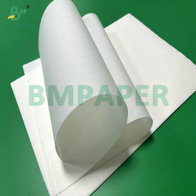 Papel de filtros de café de pulpa de bambú de 50 gramos con rollo de jumbol ancho 308 mm color blanco