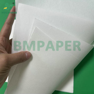 Papel de filtros de café de pulpa de bambú de 50 gramos con rollo de jumbol ancho 308 mm color blanco
