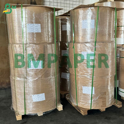 55 gm de frutas cultivadas en mangos Bolsa de papel protector de papel cubierta marrón Negro interior