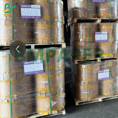 Papel negro brillante de un solo lado de 30 gramos para bolsas de protección de frutas