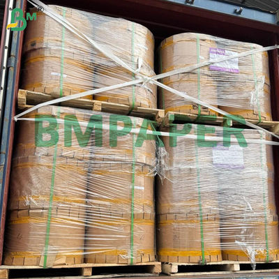 Papel negro brillante de un solo lado de 30 gramos para bolsas de protección de frutas