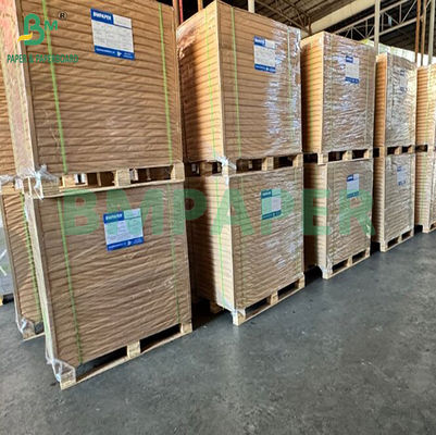300 gramos de un lado Blanco Marrón De espaldas Desechable horneado Kraft Panes Tabla 0,45 mm