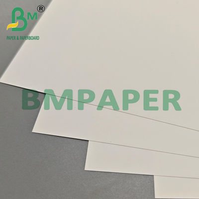 Hoja de papel sintético de PET ecológico de 100 mm para publicidad al aire libre