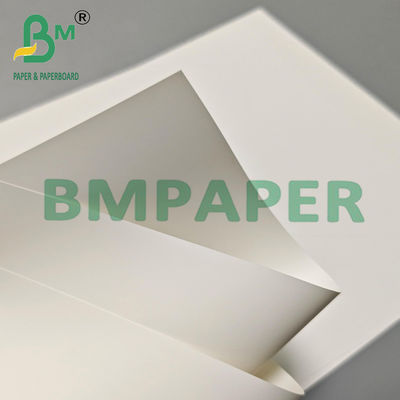 Hoja de papel sintético de PET ecológico de 100 mm para publicidad al aire libre