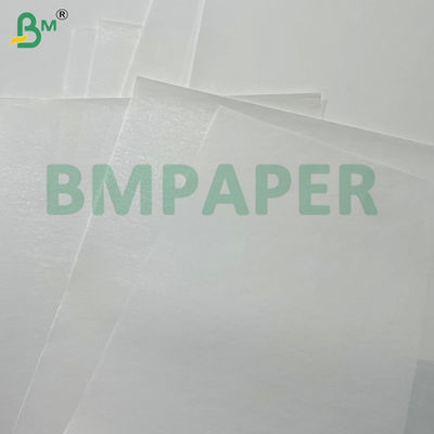 55g 80g 400mm 405mm 565mm Rollos de papel térmico blanco para los cajeros automáticos de lotería Etiquetas y registros