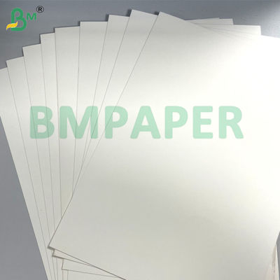 Single / Double Side PE Coated Cup Stock Paper Board 250g + 15gm para tazones y tazas
