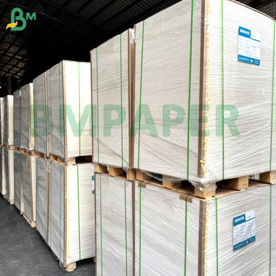 Single / Double Side PE Coated Cup Stock Paper Board 250g + 15gm para tazones y tazas