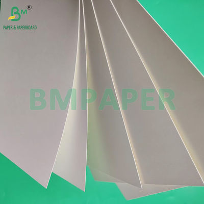 Papel para tazas de café con revestimiento mate de color blanco