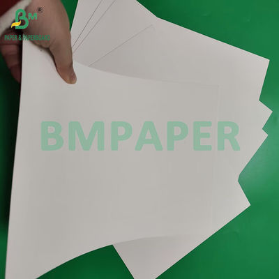 Papel para tazas de café con revestimiento mate de color blanco