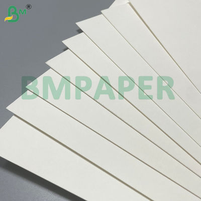 Eco-amigable, impermeable, de buena rigidez, placa de papel de copa no tóxica, con recubrimiento de PE de 100 gramos