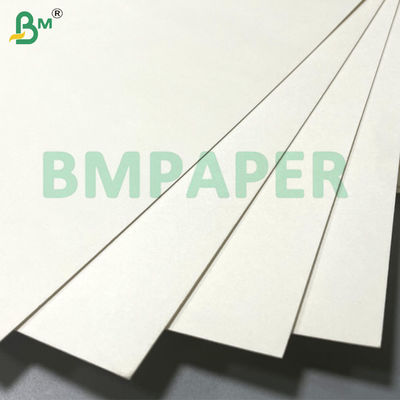 Eco-amigable, impermeable, de buena rigidez, placa de papel de copa no tóxica, con recubrimiento de PE de 100 gramos