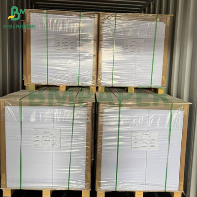 230g - 300g de calidad alimentaria PET para hornos de alta temperatura