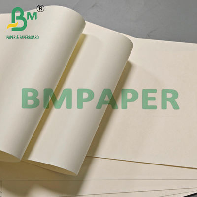 190g 210g 230g Papel de taza desechable de grado alimenticio Materia prima para el té Leche Café
