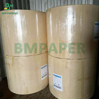 250g 300g Papel libre de plástico acuoso Tazas y cuencos Papel hecho de 100% fibra de bambú
