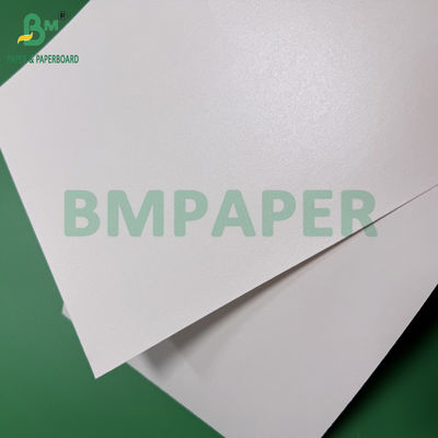 260g 280g + 10g Papel revestido acuoso biodegradable libre de plástico para tazas y tazones