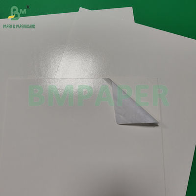 300+15gm de cartón blanco de calidad alimentaria con revestimiento en PE brillante Embalaje de productos congelados
