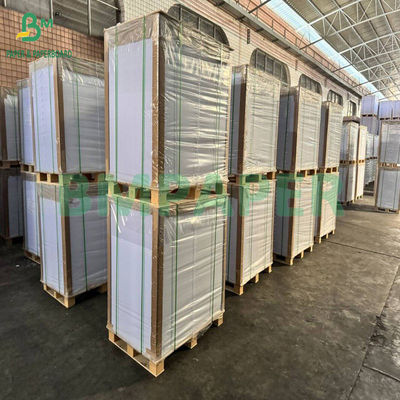300+15gm de cartón blanco de calidad alimentaria con revestimiento en PE brillante Embalaje de productos congelados