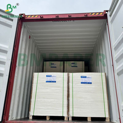240g +15PE Revestido de 1 lado Papel para vasos para bebidas 31 x 43 pulgadas 100% resistente al agua