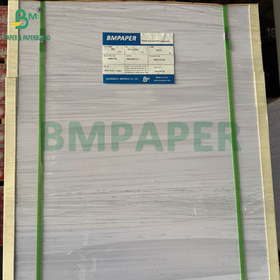 240g +15PE Revestido de 1 lado Papel para vasos para bebidas 31 x 43 pulgadas 100% resistente al agua