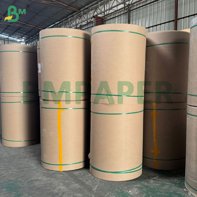 Empresa Papel sin carbono digital 48gm 55gm Gran hoja y rollo
