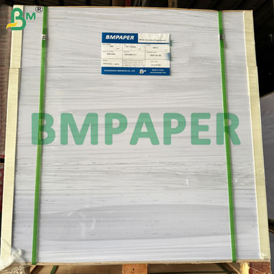 Revestimiento con PET Contenedor seguro para alimentos Papel resistente a la temperatura para recalentar alimentos