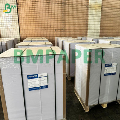Revestimiento con PET Contenedor seguro para alimentos Papel resistente a la temperatura para recalentar alimentos