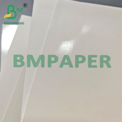 315 gr White PET Waterproof Kraft Paper Lunch Box para el embalaje de comida rápida