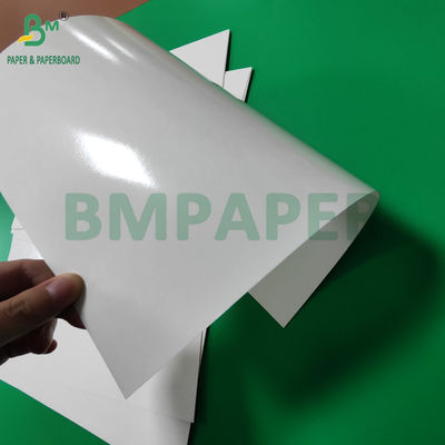 300 g de bandeja laminada de PET de calidad alimentaria, papel de recubrimiento, rollos de papel de 635 mm de alta temperatura