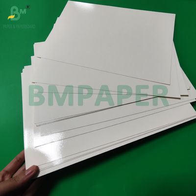 300 g de bandeja laminada de PET de calidad alimentaria, papel de recubrimiento, rollos de papel de 635 mm de alta temperatura