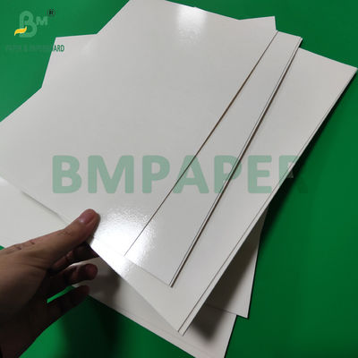 300 g de bandeja laminada de PET de calidad alimentaria, papel de recubrimiento, rollos de papel de 635 mm de alta temperatura