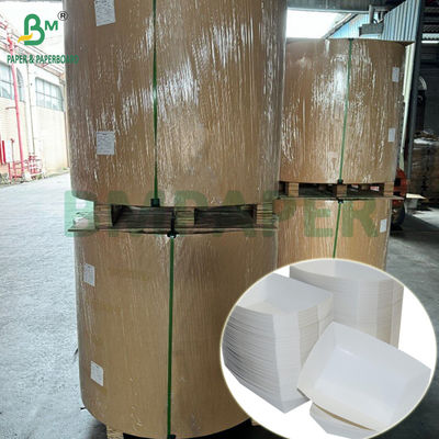 300 g de bandeja laminada de PET de calidad alimentaria, papel de recubrimiento, rollos de papel de 635 mm de alta temperatura