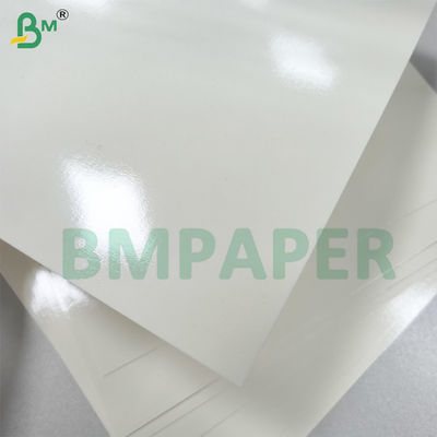 Papel de cuenco de revestimiento de PET para microondas y horno Buena precisión