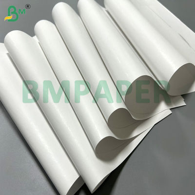 Papel térmico de 55 gramos 60 gramos Imprimible Jumbo Roll Ancho 800 mm 900 mm