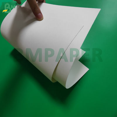 Rollo de papel para vasos recubierto de PE de 190 g/m² + 15 g para cajas de sopa, 865 mm, 940 mm, impermeable