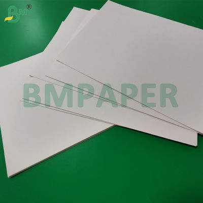 Rollo de papel para vasos recubierto de PE de 190 g/m² + 15 g para cajas de sopa, 865 mm, 940 mm, impermeable