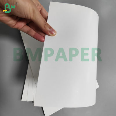 Cartón antigrasa de 210 g/m² y 220 g/m² para envases de alimentos, kit de 6, 24 x 36 pulgadas, impermeable