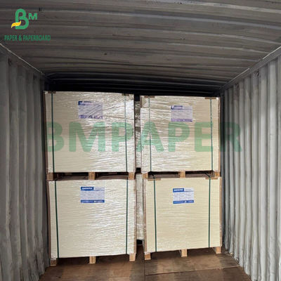 Papel para embalaje de alimentos congelados de alta rigidez 275 g/m² + 15 g PE recubierto 635 x 902 mm