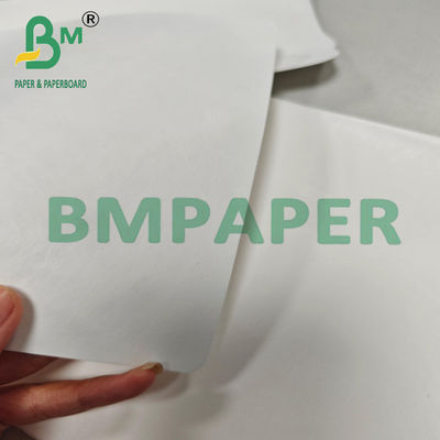 Papel Redondo Duradero Termosellable 1073B 177 x 277mm Para la Industria Médica