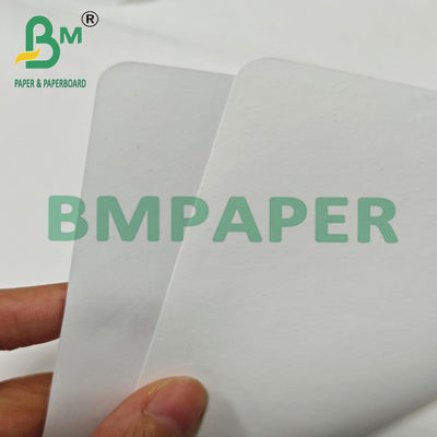 Papel Redondo Duradero Termosellable 1073B 177 x 277mm Para la Industria Médica