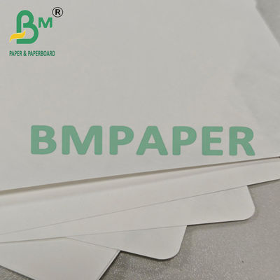 Papel Redondo Duradero Termosellable 1073B 177 x 277mm Para la Industria Médica