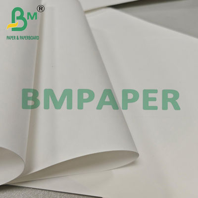 Papel Redondo Duradero Termosellable 1073B 177 x 277mm Para la Industria Médica