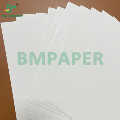 Buena Resistencia 250g - 400g Rollo de Cartón para Blíster Sellable Térmicamente Ancho 1041mm