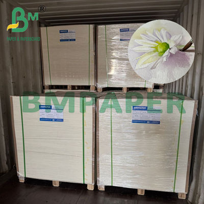 200/230/300gr Papel natural de agua blanca para impresión de arte A4 A3