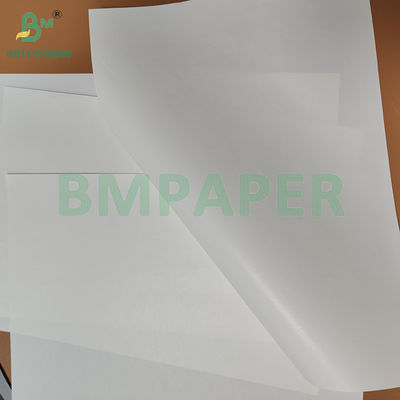 Papel de resistencia a la humedad brillante por una cara, blanco, de 75 g/m² y 80 g/m², para envasado de bebidas