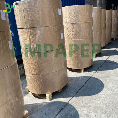 Papel base para recipientes de sopa/bol blanco de 280 g/m² y 300 g/m² con y sin recubrimiento