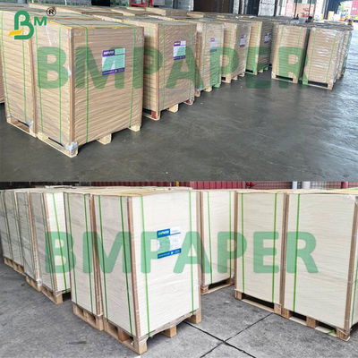 Papel base para recipientes de sopa/bol blanco de 280 g/m² y 300 g/m² con y sin recubrimiento