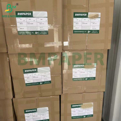 Calidad alimentaria Blanqueado Sin blanquear 40GSM 50GSM Rollo de papel de filtro de café 1200 mm