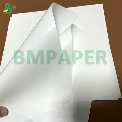 Ancho de 61 cm Papel de alta resistencia en húmedo de 68 g/m² y 70 g/m² para etiquetas de botellas de bebidas